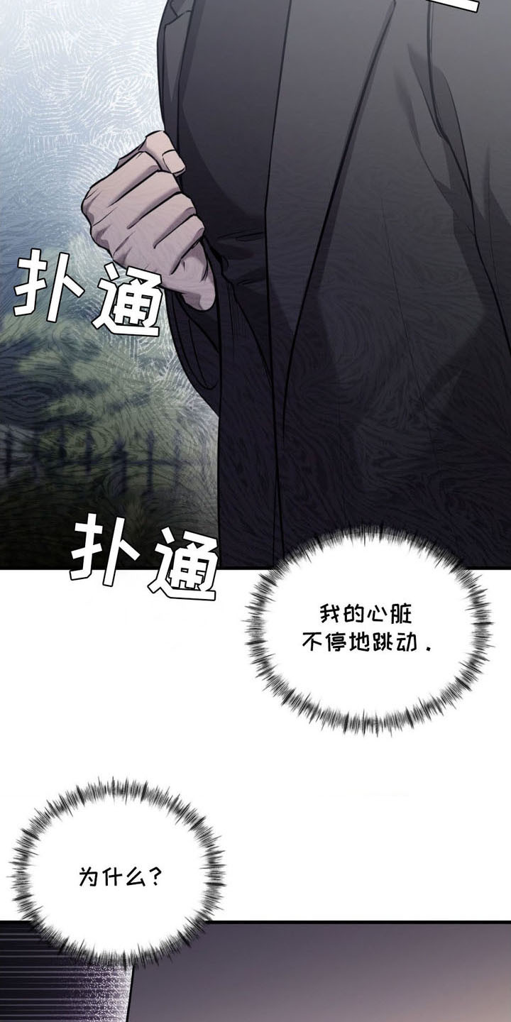 第16话：第16章：期待预览分镜