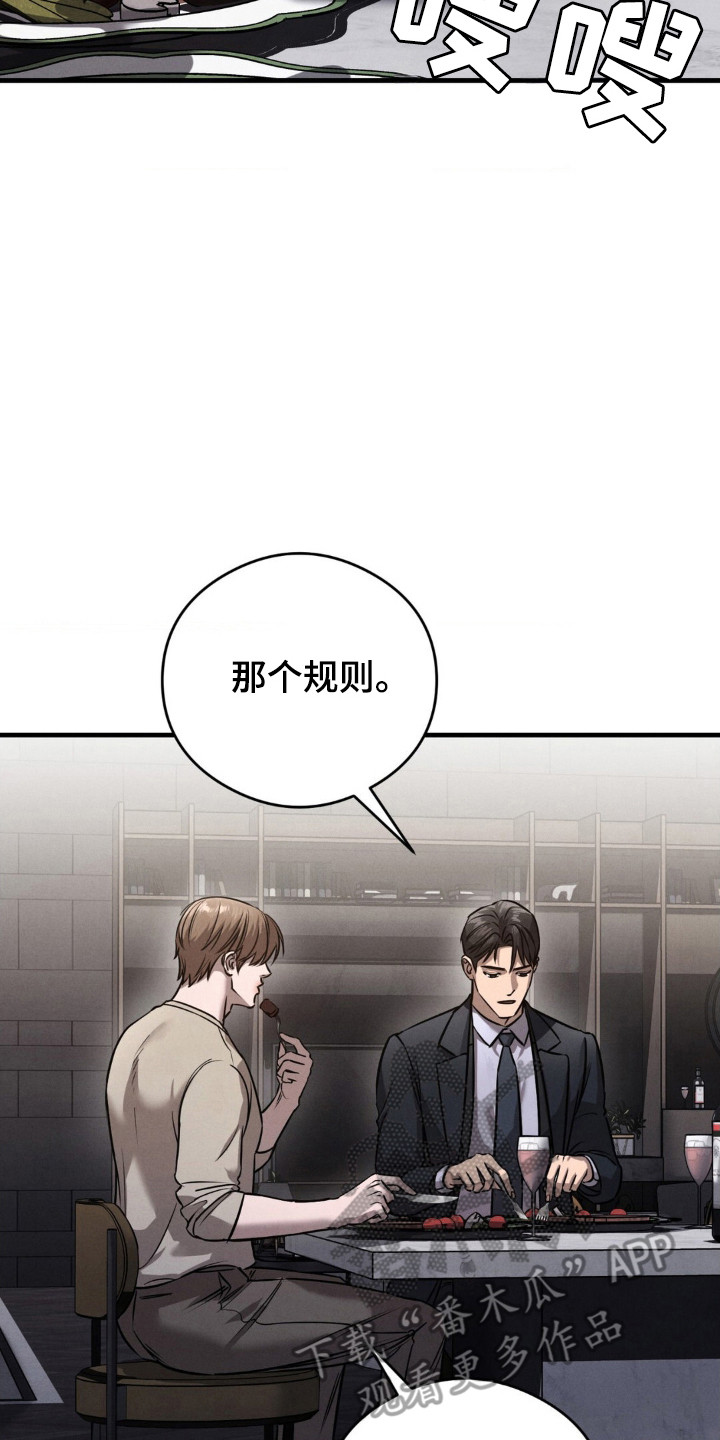第39章:法官信息