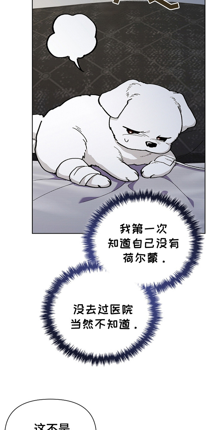 第11话：第11章：不能大意预览分镜