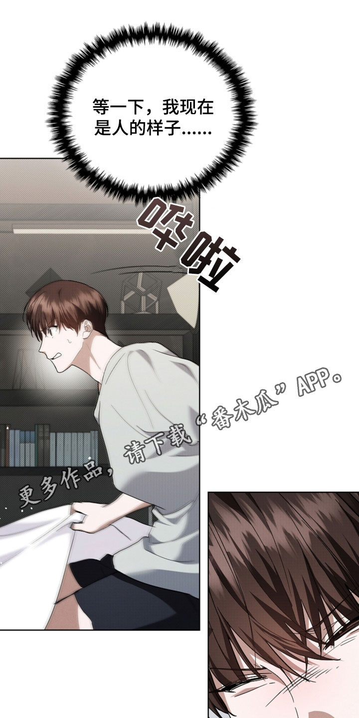 第42章:是不是疯了