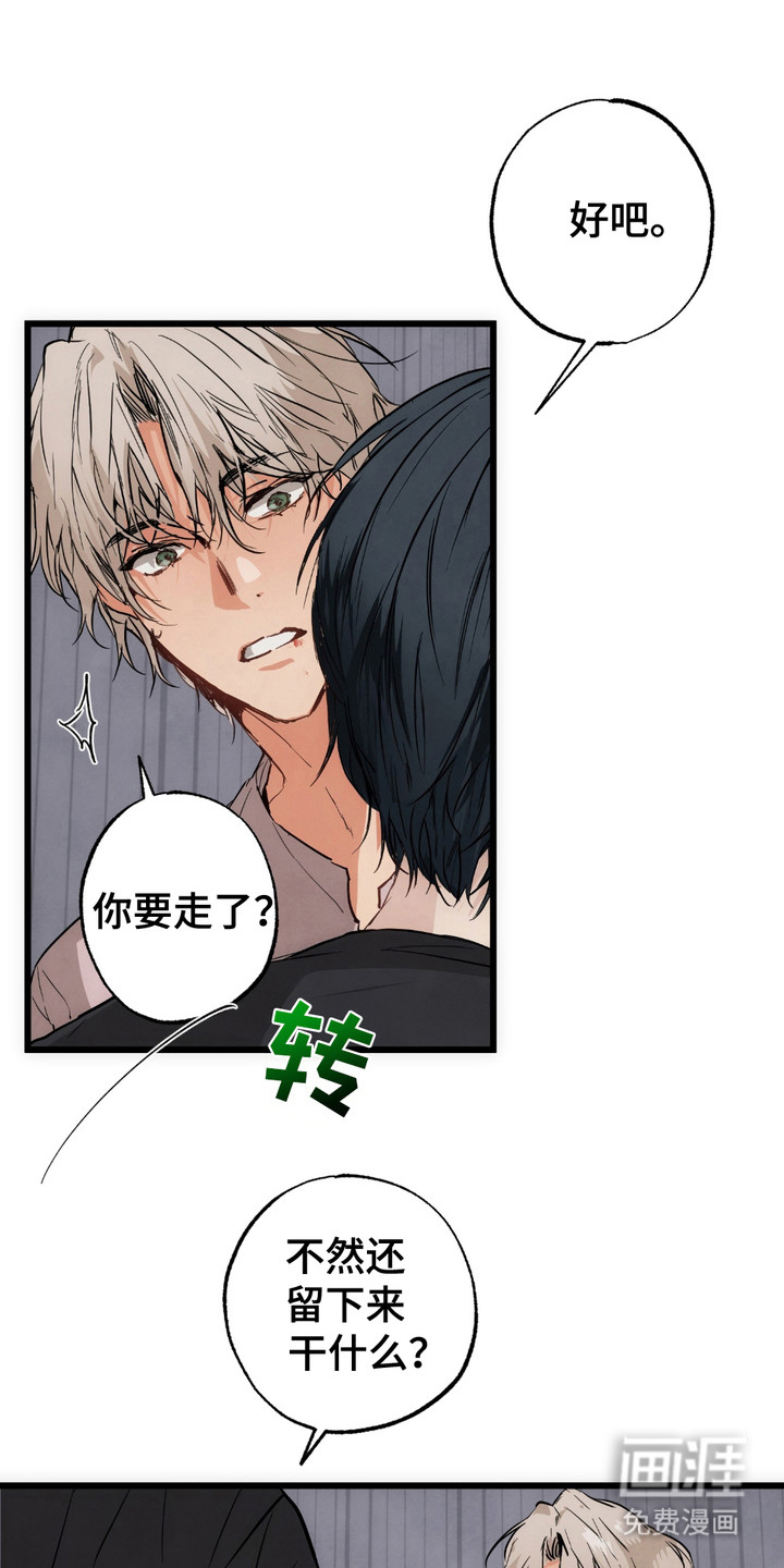 第6话：第6章：盯着看预览分镜