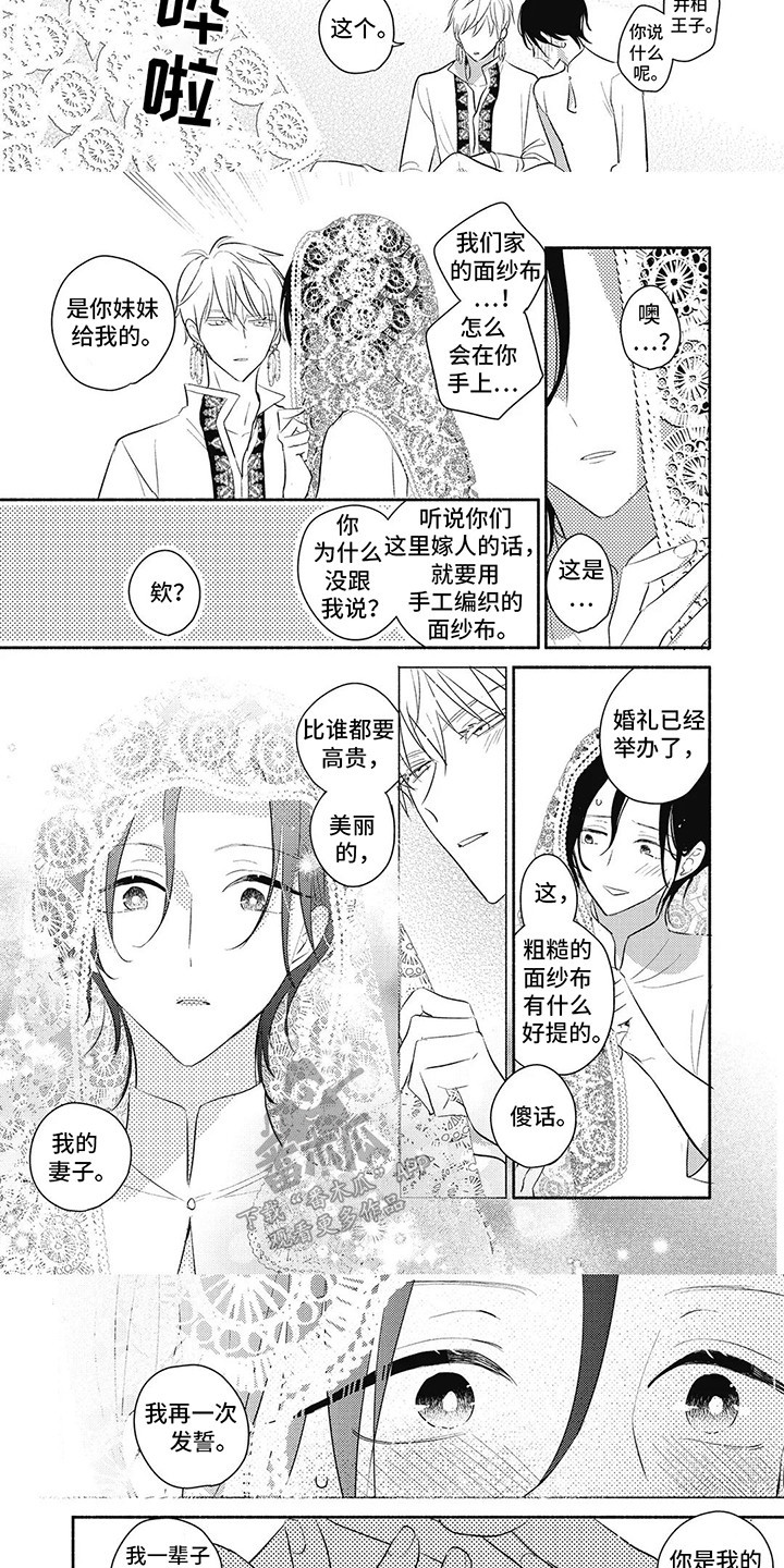 第17话：第17章：许下誓言预览分镜