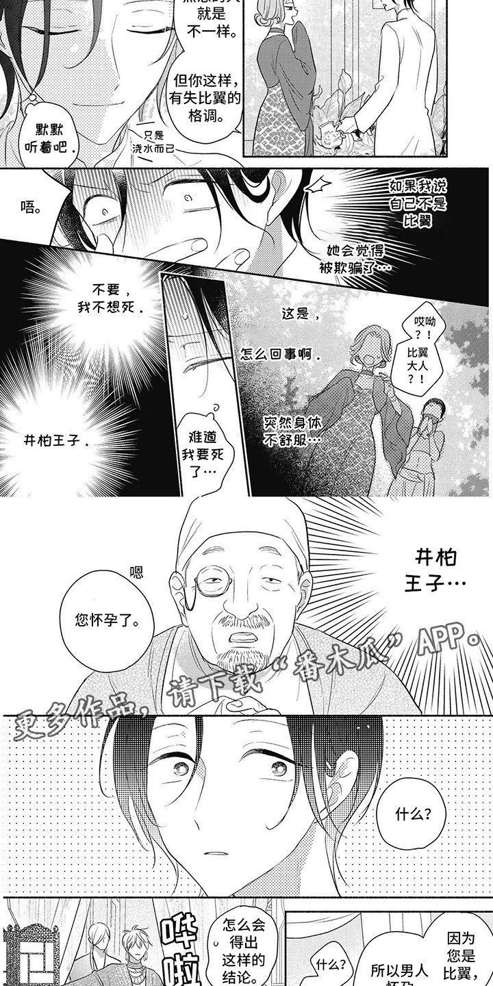 第18话：第18章：怀孕预览分镜
