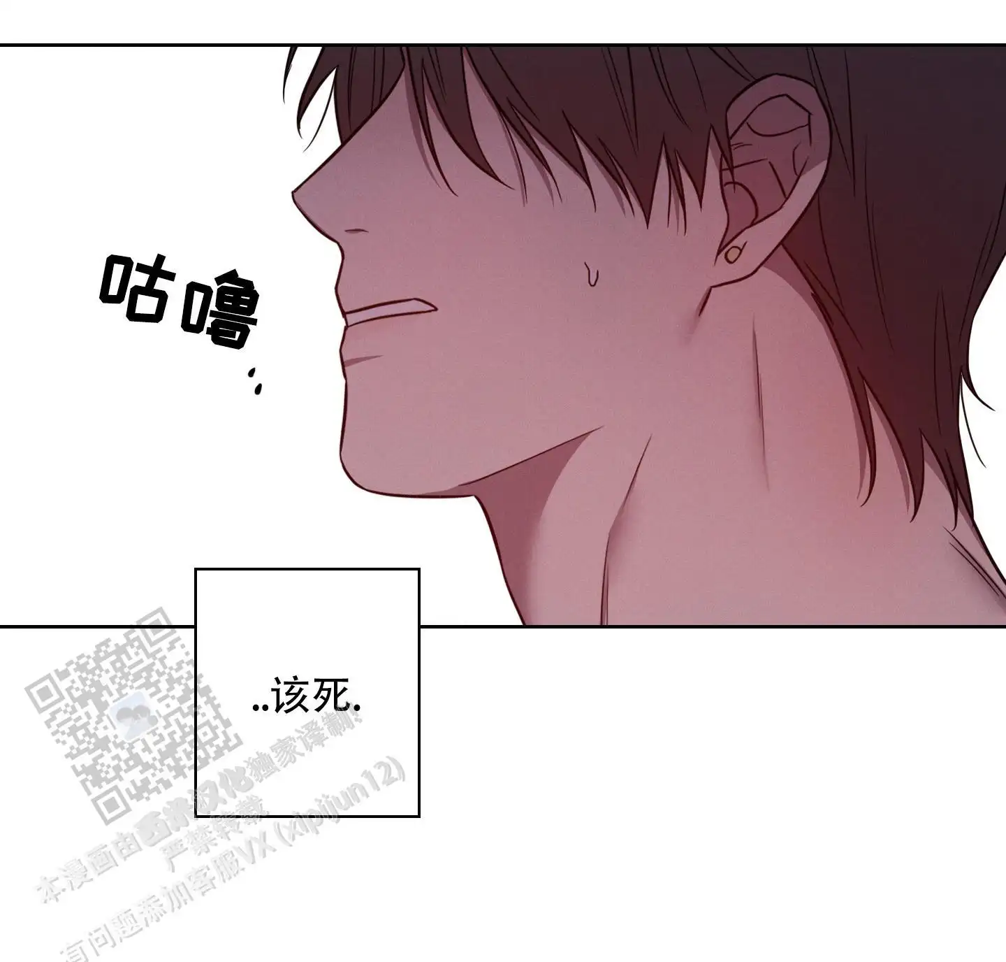 不要怂