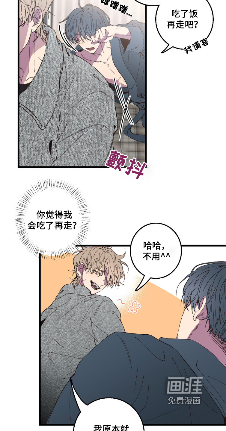 第19章:见面5次