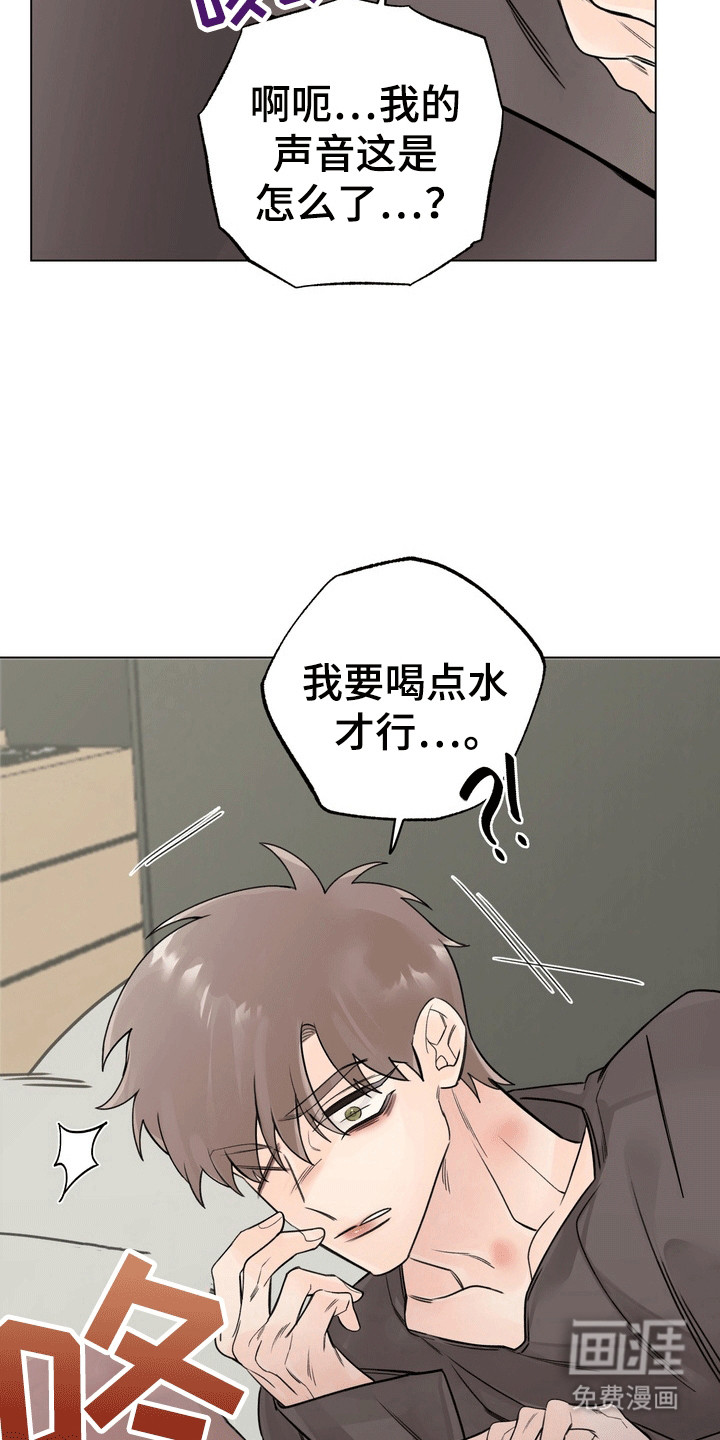 第5话：第5章：他打算怎么办预览分镜