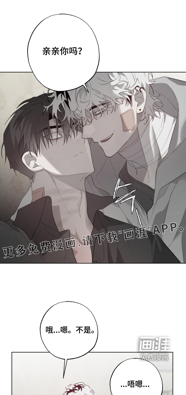 第37章:试探一下