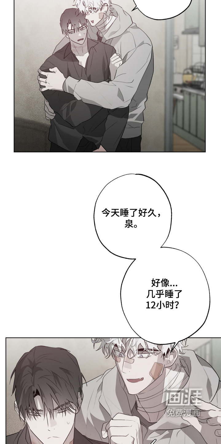 第37章:试探一下