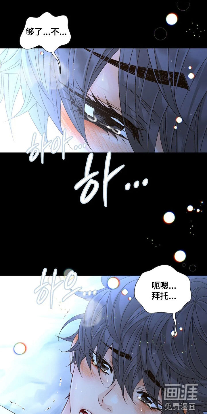 第56章:撒谎