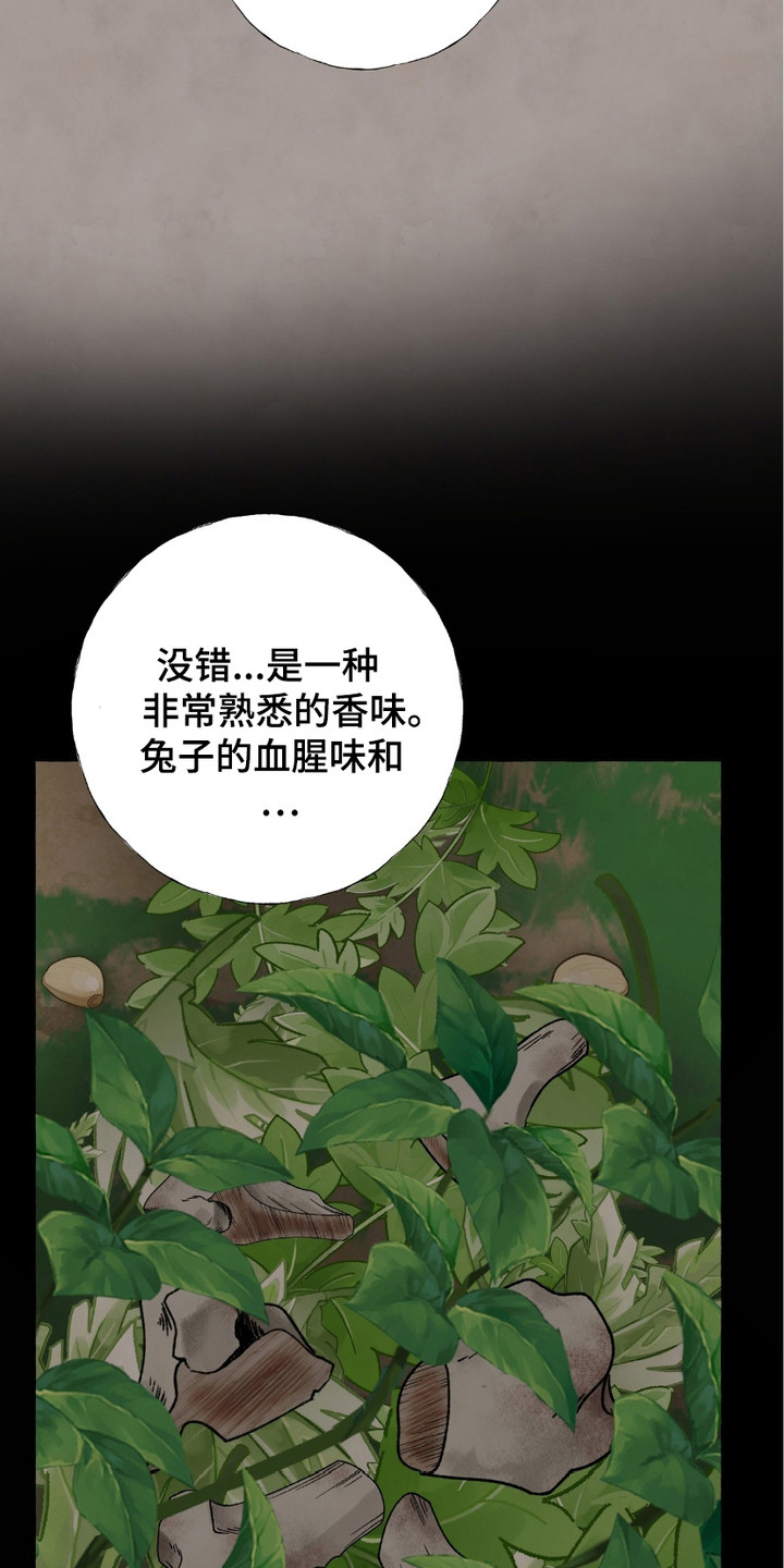 第5话：第5章：凶狠预览分镜