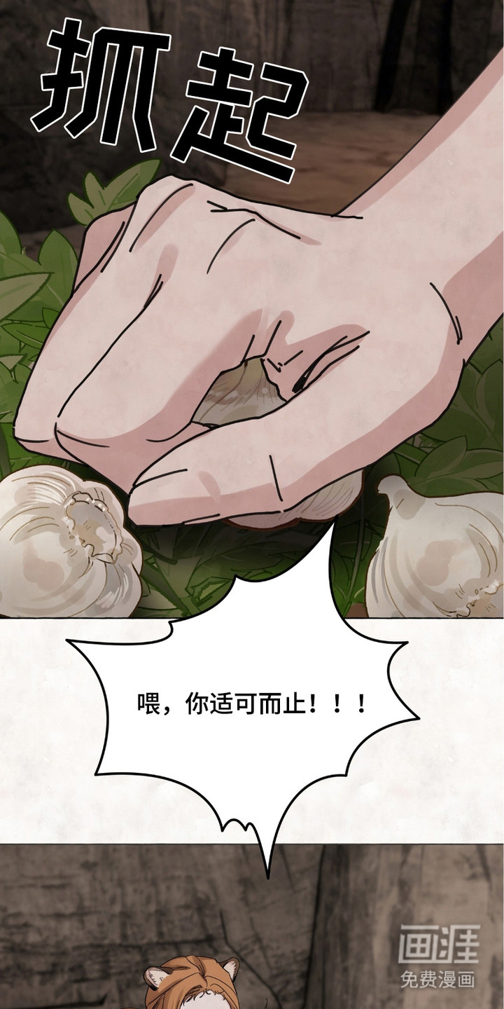 第2话：第2章：很失败预览分镜