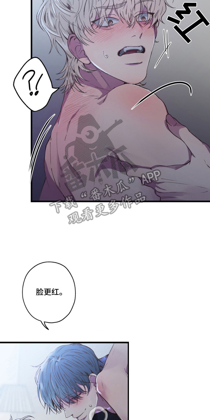 第10话：第10章：不管了预览分镜