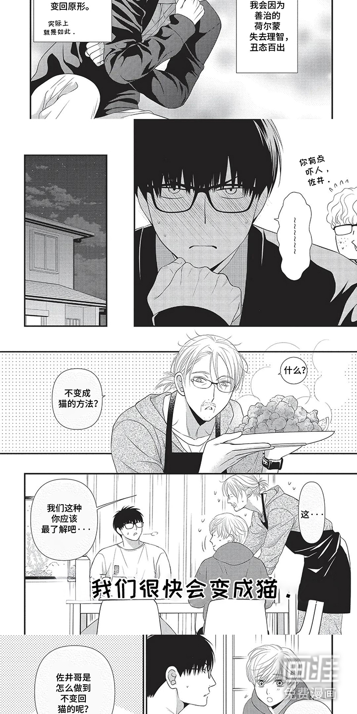 第4话：第4章：不变猫的方法预览分镜