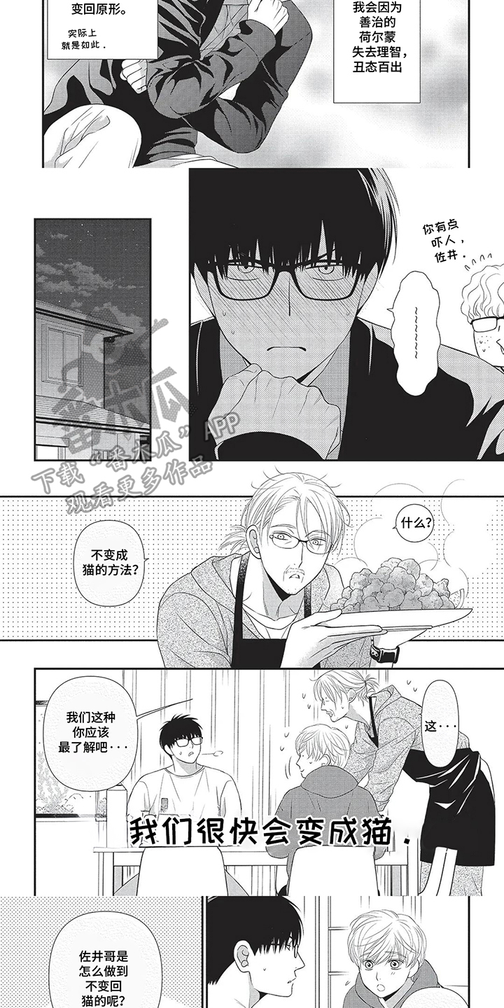 第4话：第4章：不变猫的方法预览分镜