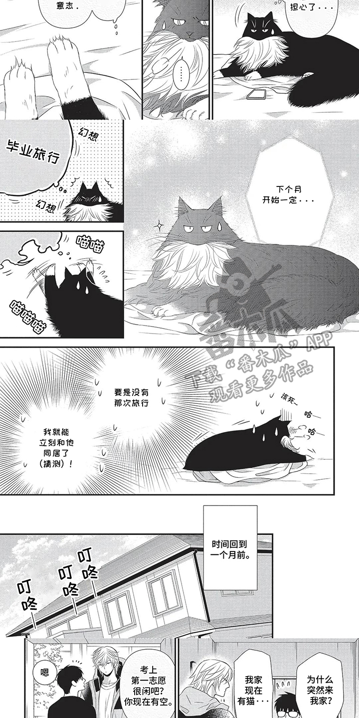 第6话：第6章：旅行预览分镜