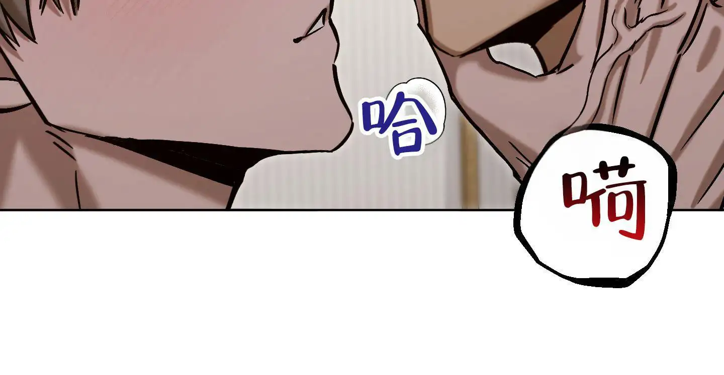 对你负责(完结)