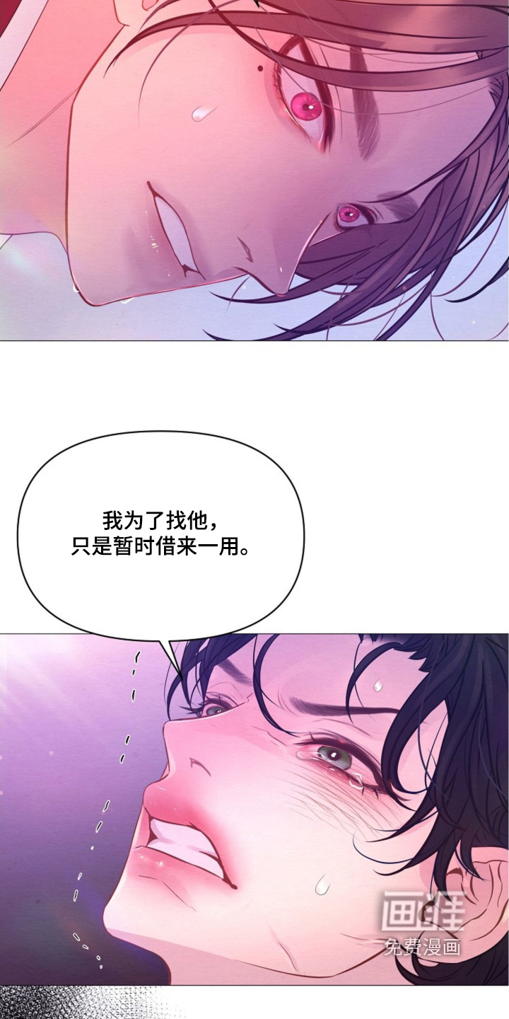 第41章:它的主人