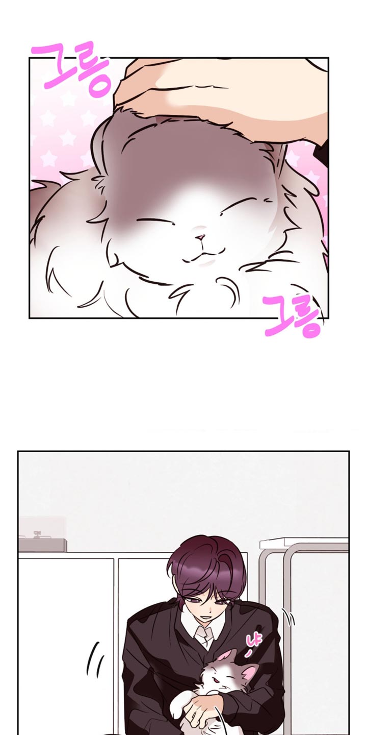第47章:逃跑了