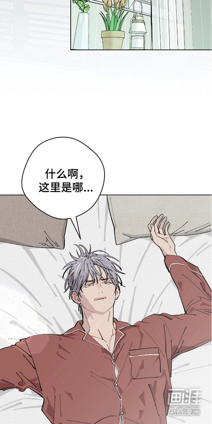 第10话：第10章：不满意预览分镜