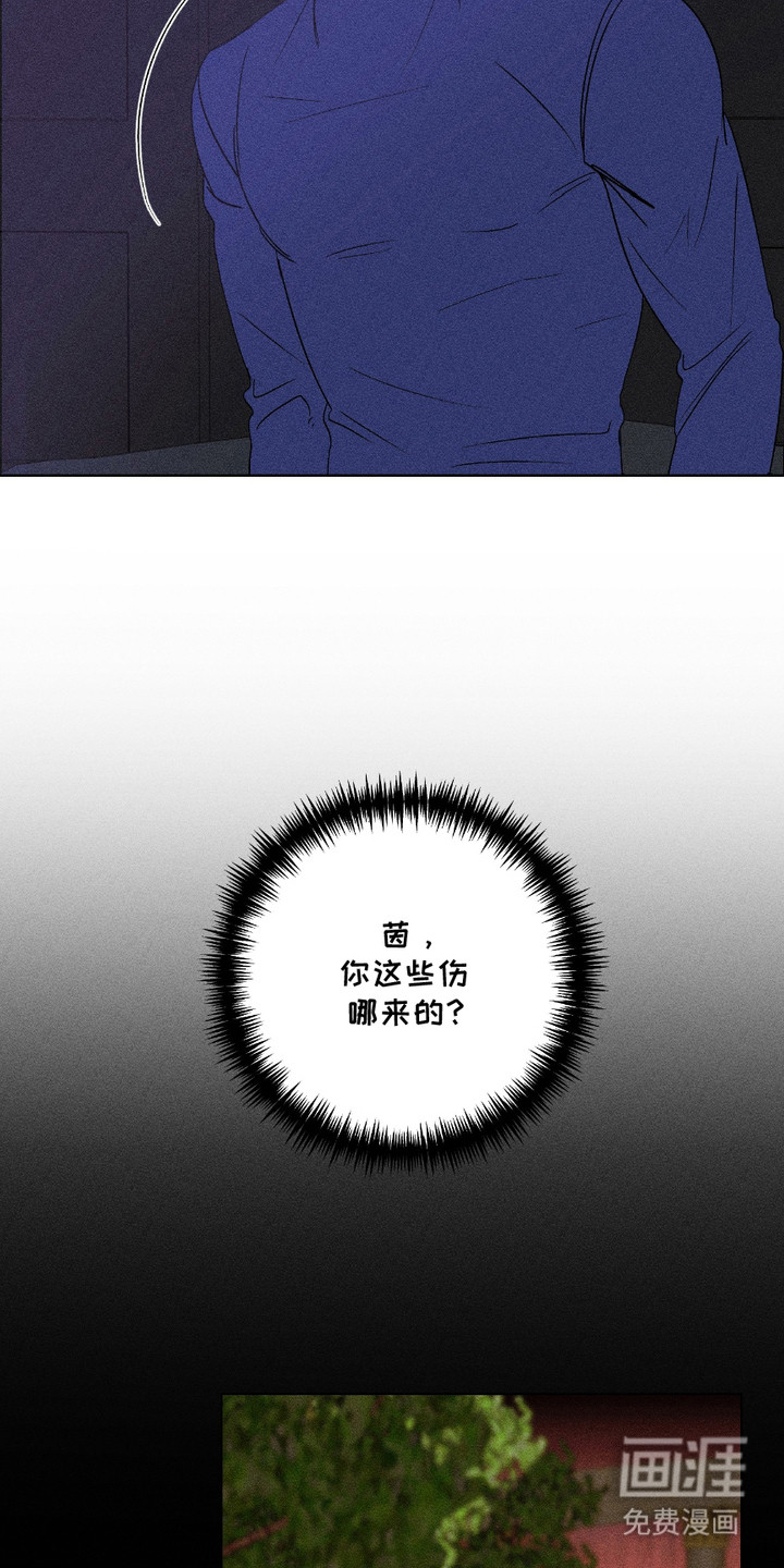 第12话：第12章：暗自行动预览分镜