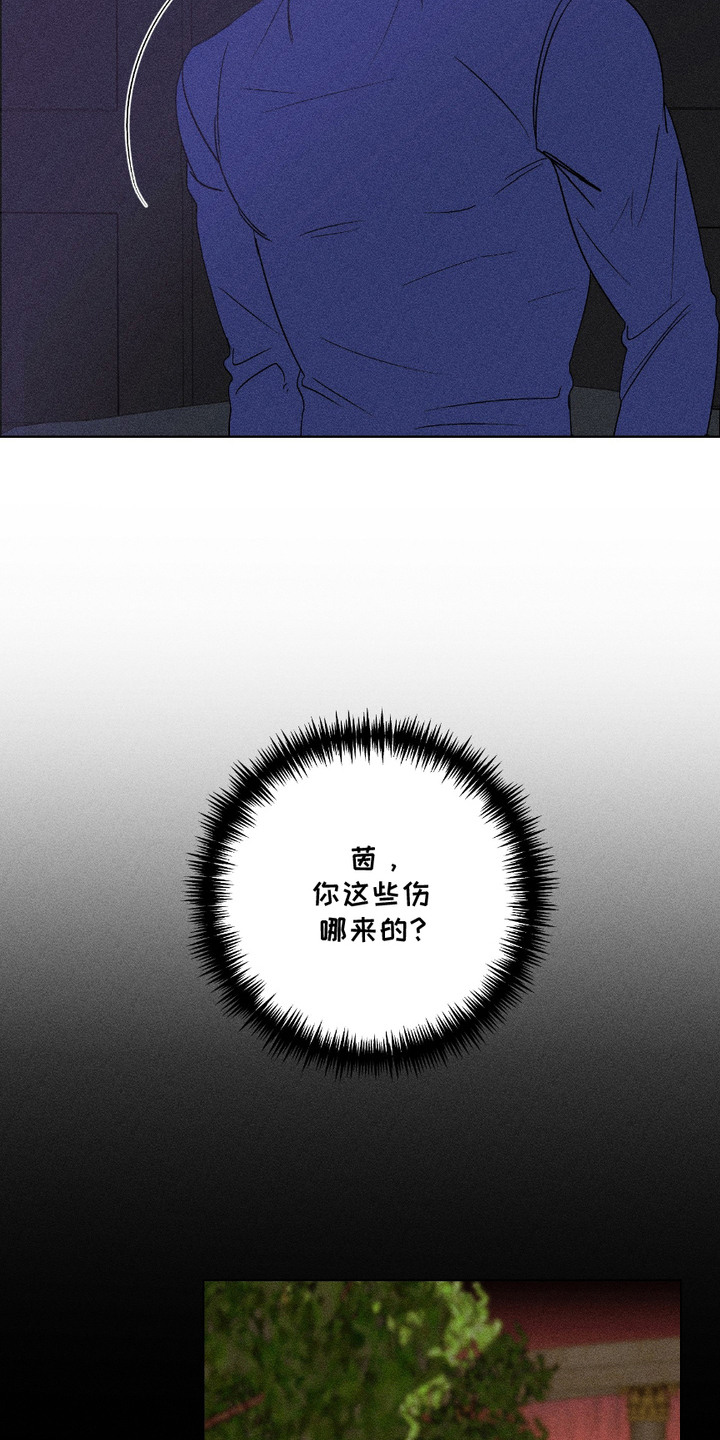 第14话：第14章：暗自行动预览分镜