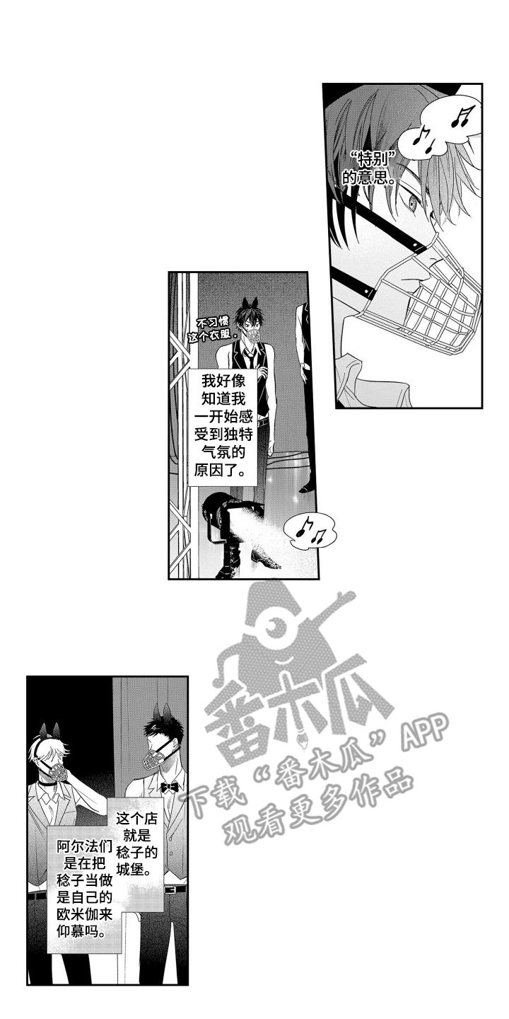 第4话：第4章：意外预览分镜
