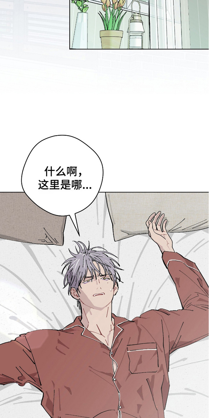 第12话：第12章：不满意预览分镜