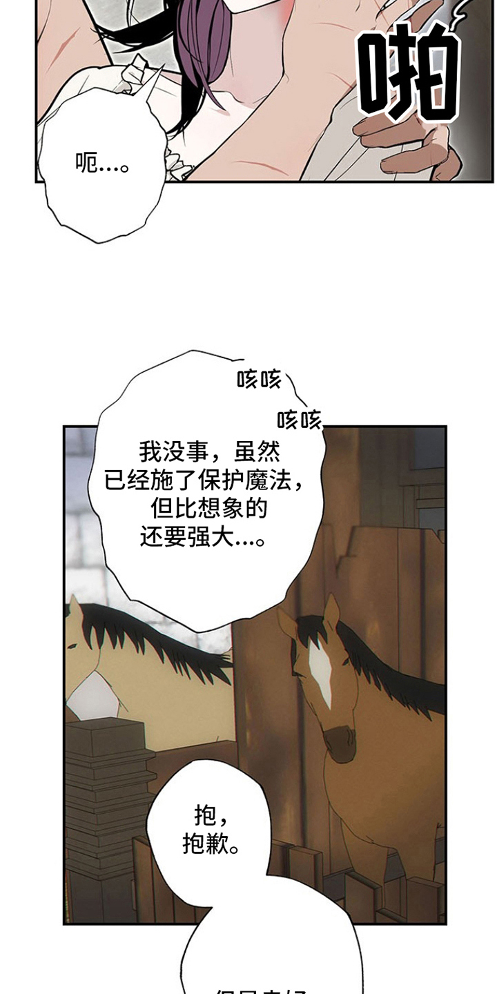 第12话：第12章：试一试预览分镜
