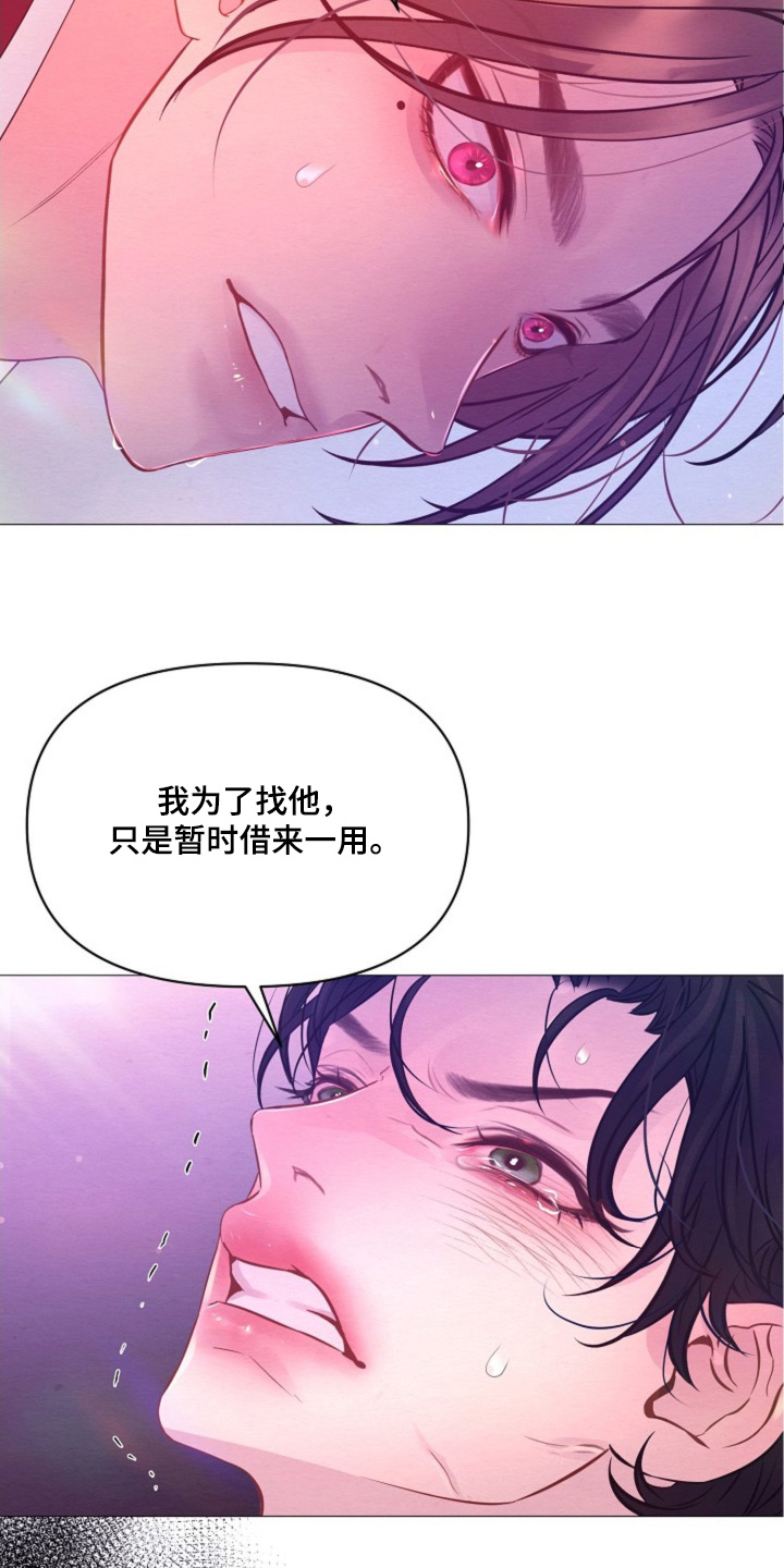 第42章:它的主人