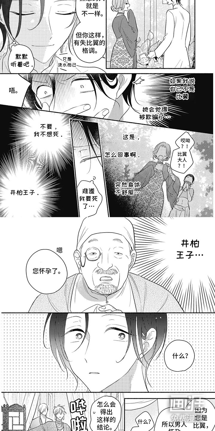 第17话：第17章：怀孕预览分镜