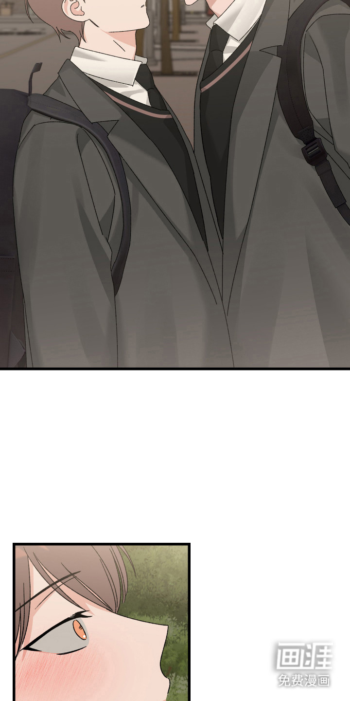 第5话：第5章：待在一起预览分镜