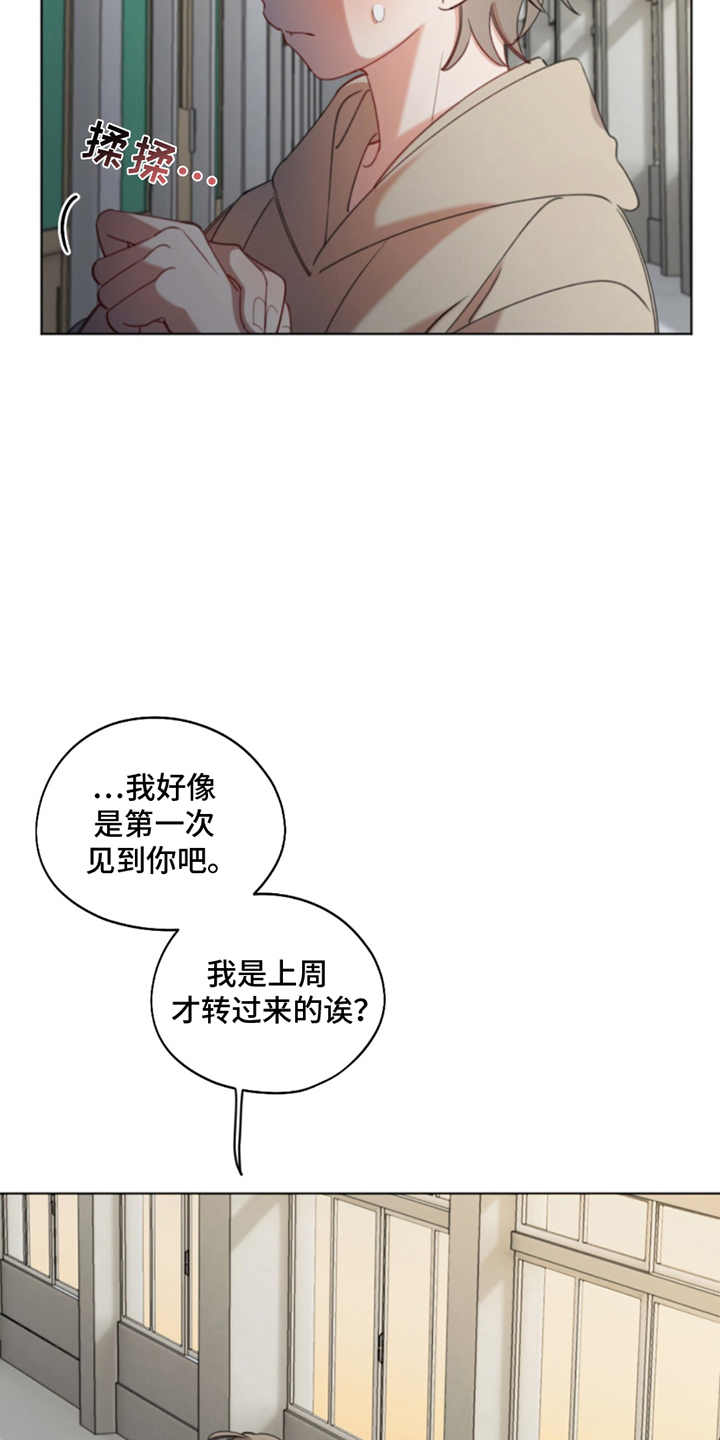 第2话：第2章：厌恶预览分镜