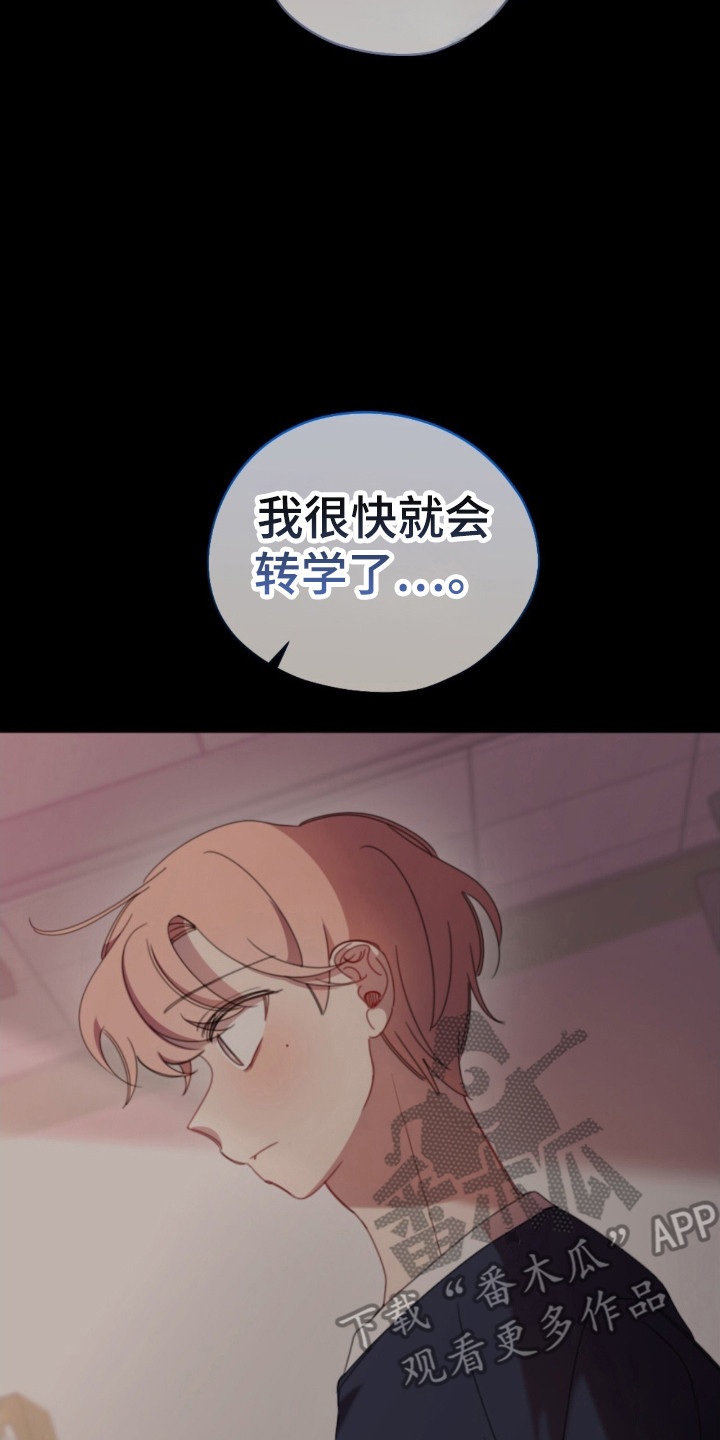 第34章:巨大秘密
