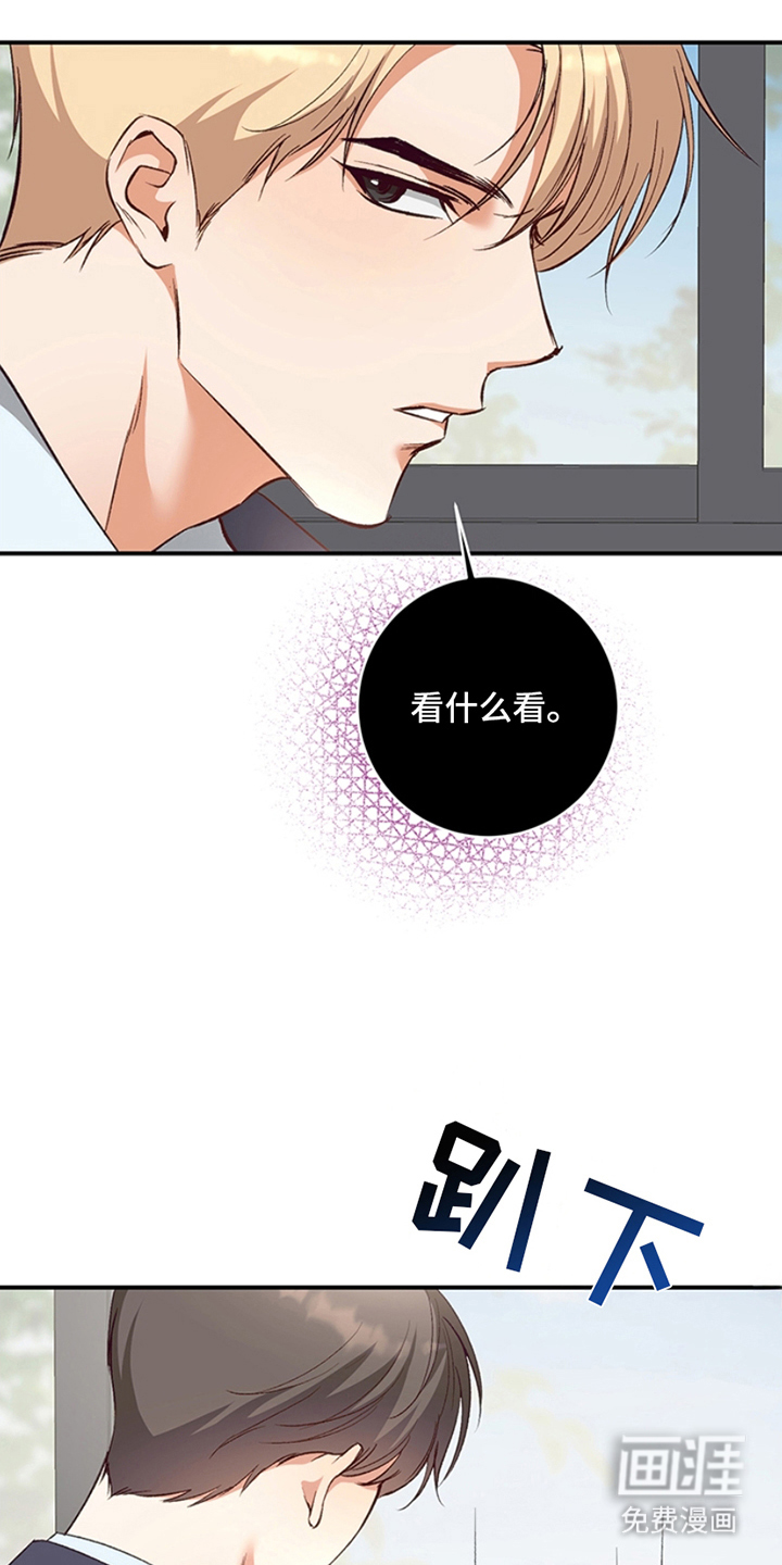 第10话：第10章：理想型预览分镜