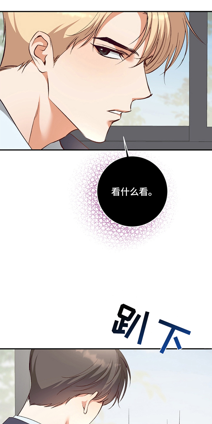 第10话：第10章：理想型预览分镜