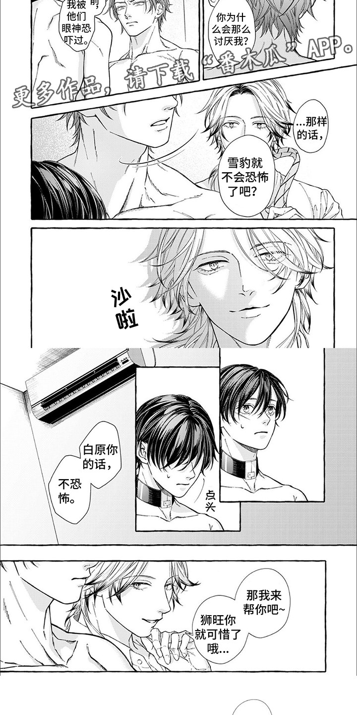 第5话：第5章：应激预览分镜