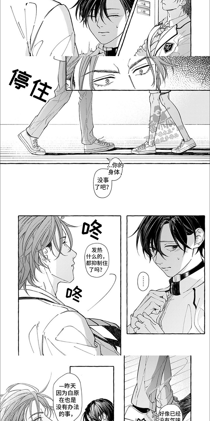 第8话：第8章：担心预览分镜