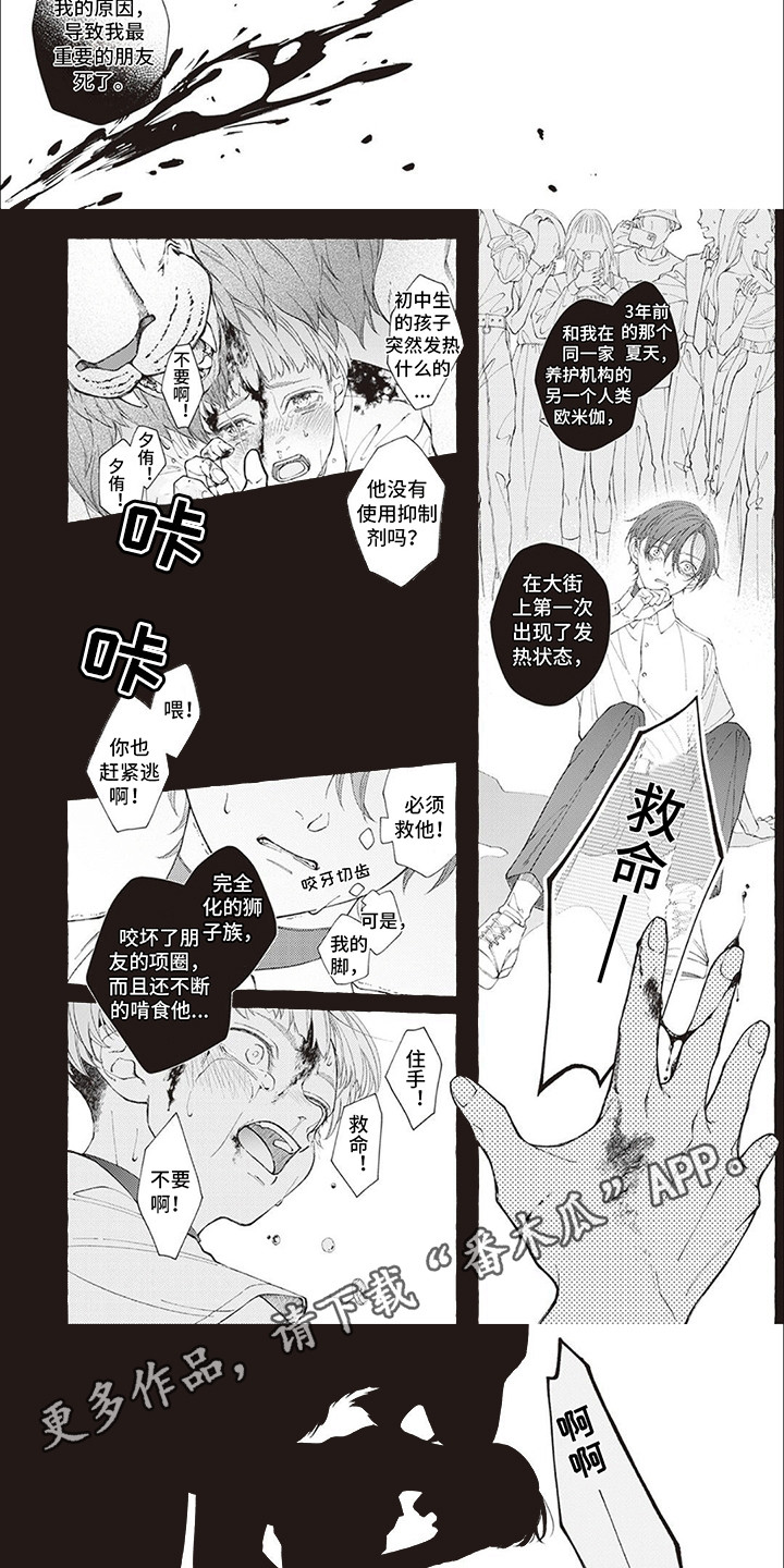 第13话：第13章：原因预览分镜