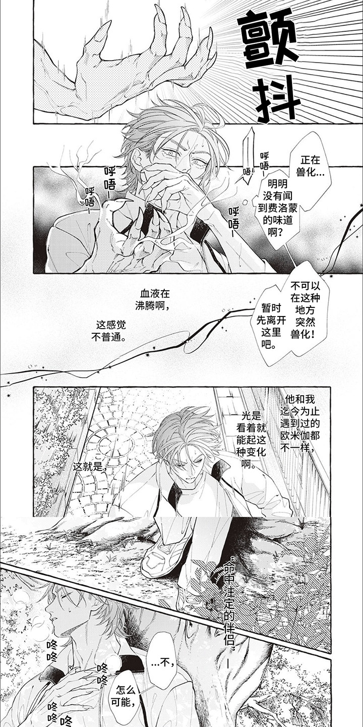 第15话：第15章：【番外】他们的初见（完结）预览分镜