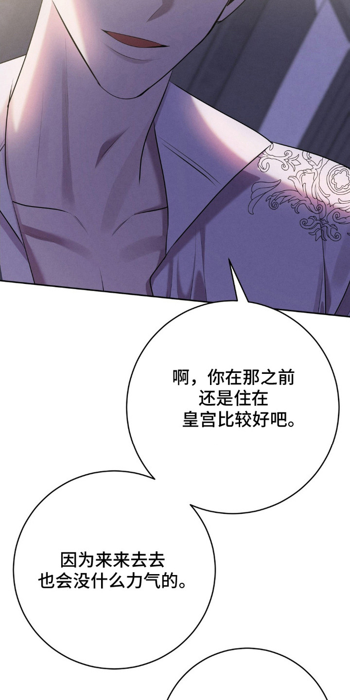 第15话：第15章：这辈子的目标预览分镜