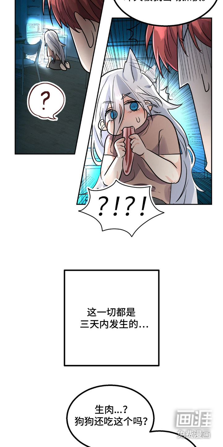 第9话：第9章：狼吃什么预览分镜
