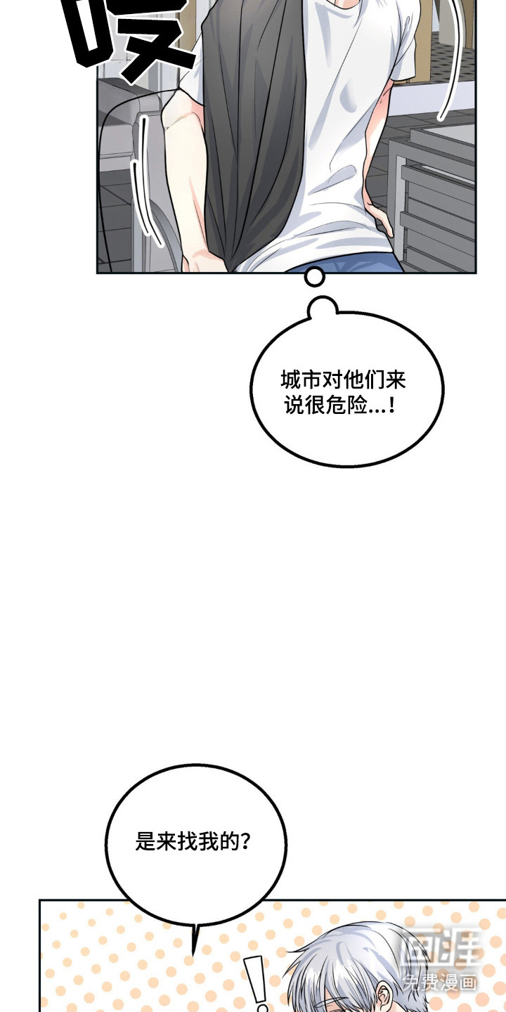 第14话：第14章：外出预览分镜