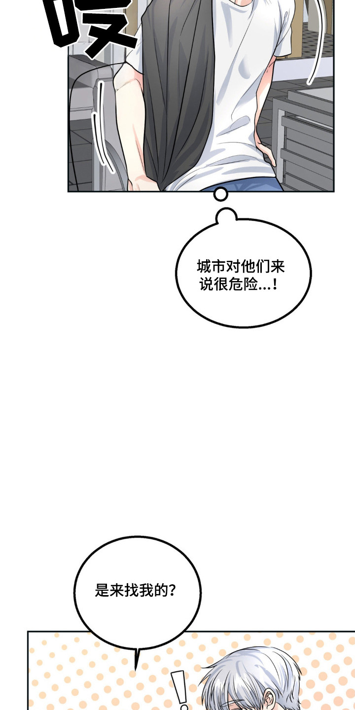 第16话：第16章：外出预览分镜