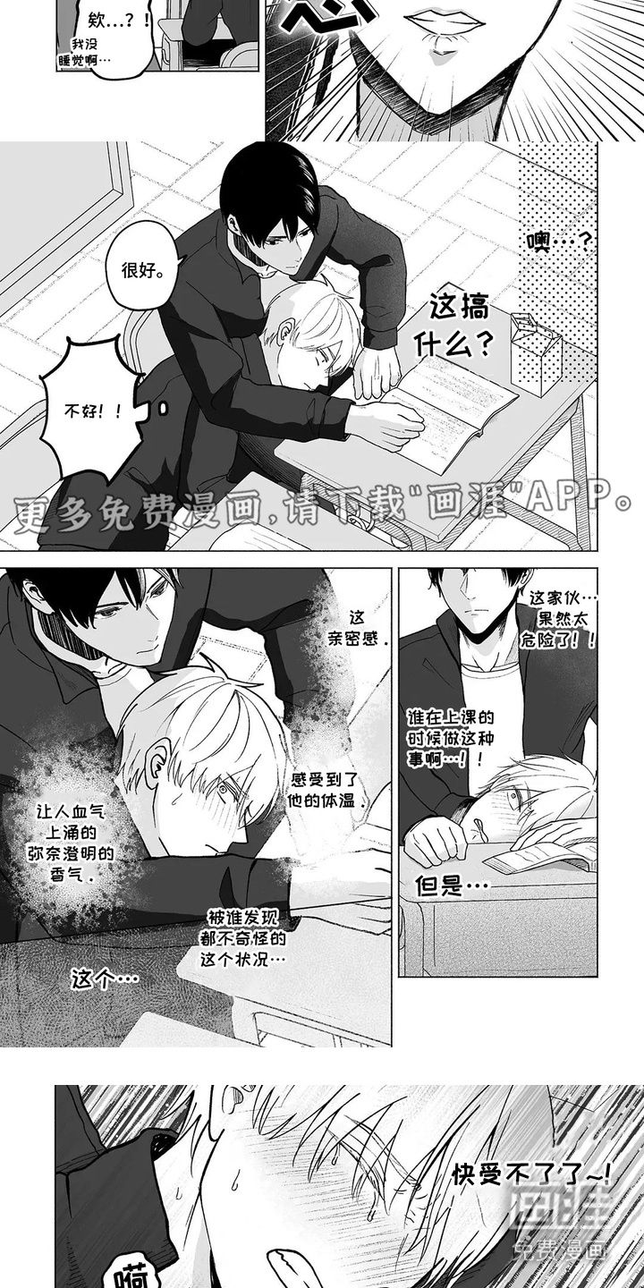 第6话：第6章：美好的一幕预览分镜