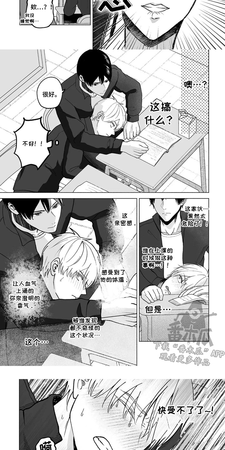 第6话：第6章：美好的一幕预览分镜