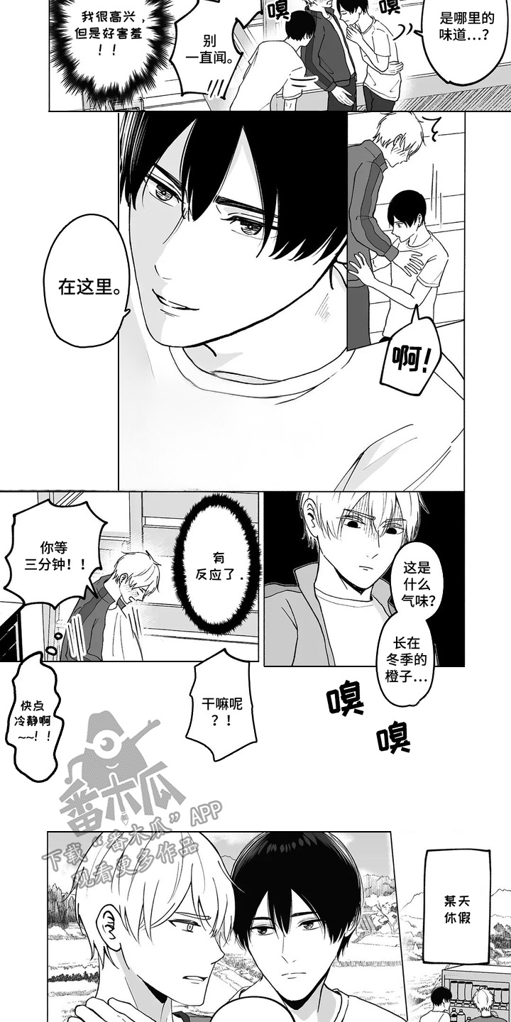 第17话：第17章：【番外】美好与本命预览分镜