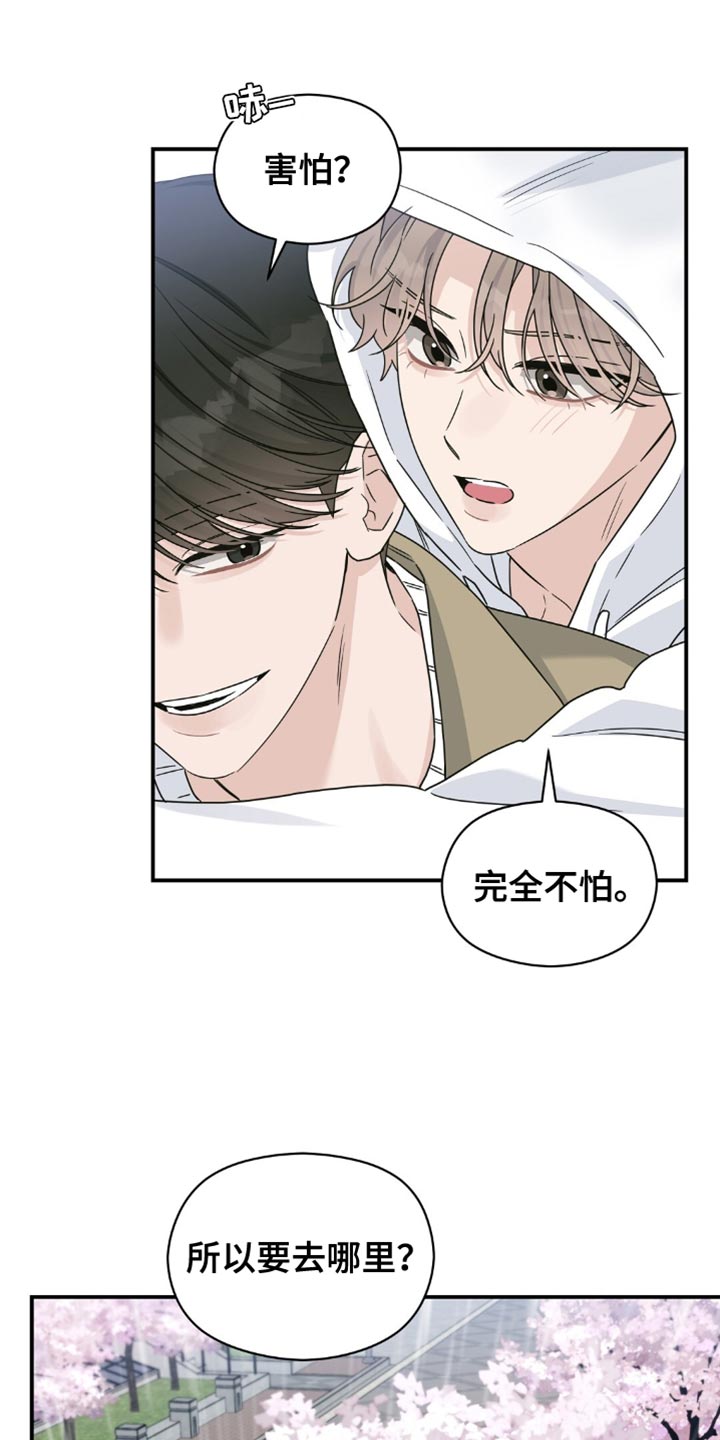 第33章:樱花雨