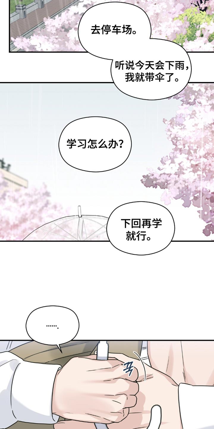 第33章:樱花雨