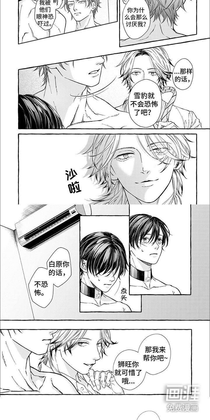 第5话：第5章：效果显著预览分镜