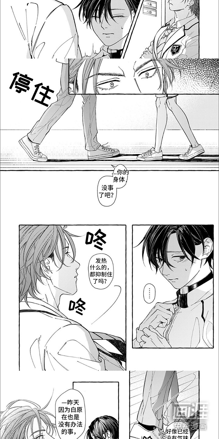 第6话：第6章：担心预览分镜